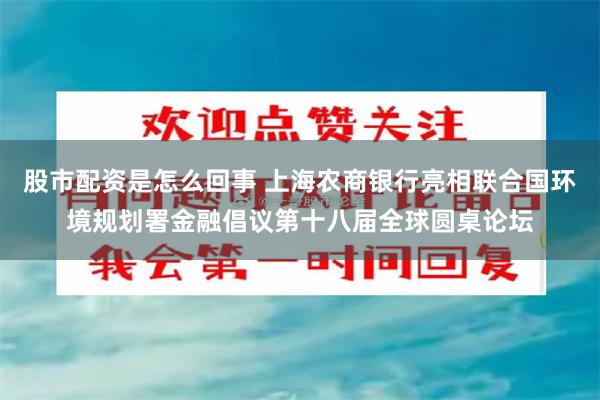 股市配资是怎么回事 上海农商银行亮相联合国环境规划署金融倡议第十八届全球圆桌论坛