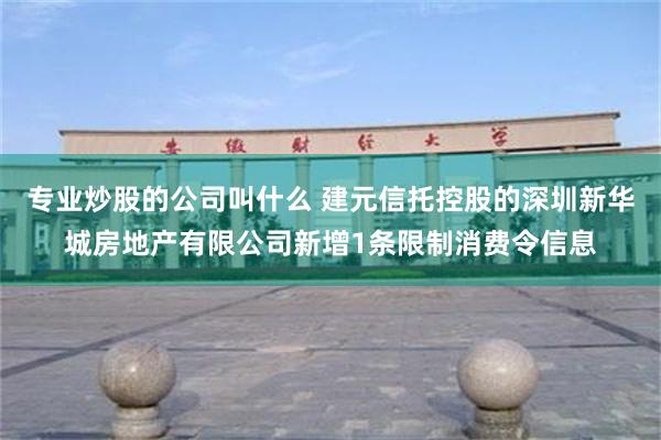 专业炒股的公司叫什么 建元信托控股的深圳新华城房地产有限公司新增1条限制消费令信息