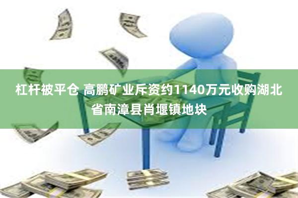 杠杆被平仓 高鹏矿业斥资约1140万元收购湖北省南漳县肖堰镇地块