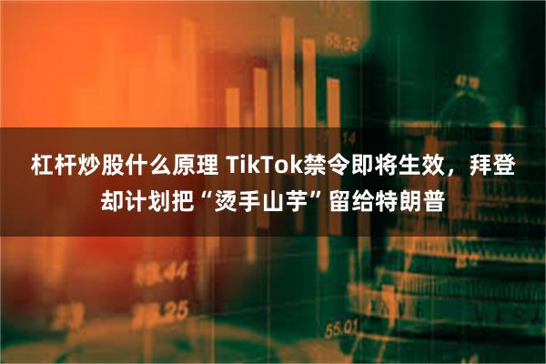 杠杆炒股什么原理 TikTok禁令即将生效，拜登却计划把“烫手山芋”留给特朗普