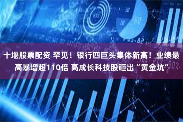 十堰股票配资 罕见！银行四巨头集体新高！业绩最高暴增超110倍 高成长科技股砸出“黄金坑”